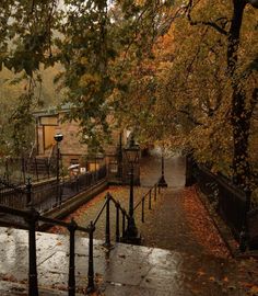 an image of a rainy day in the city