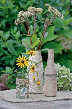 three vases with flowers in them sitting on a table next to plants and bushes