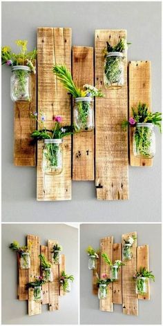 several pictures of mason jars with plants in them on wooden boards and hanging from the wall