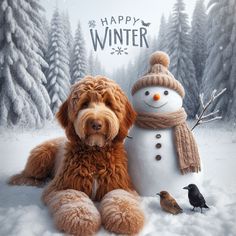 Happy Winter, Future Perfect, Labradoodle, Goldendoodle, Doodles, Dogs, Christmas, Quick Saves, Art