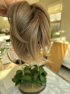 Straight Bun Style PXH12 Banana Clip Hairstyles, Bun Style, Bun Styles, Clip Hairstyles, Blonde Hair Shades