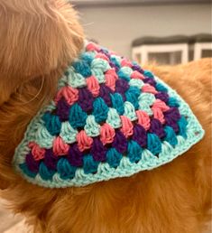 a brown dog wearing a crocheted hat