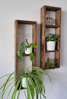 two wooden shelves with plants in them on the wall next to a potted plant