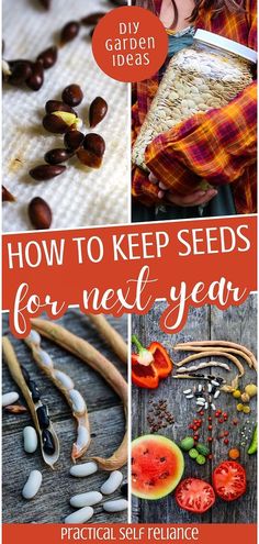 how to keep seeds for next year