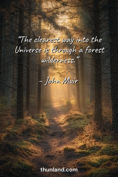 a path in the woods with a quote from john mur on it that says, the