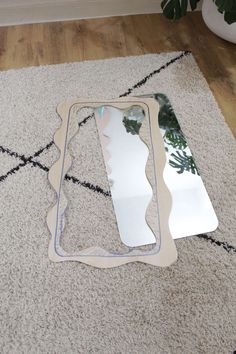 a mirror sitting on the floor next to a potted plant