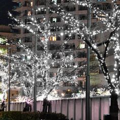 a tree with white lights in front of a building