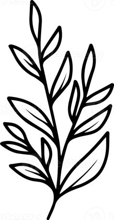 Plants Outline, Leaf Stencil Patterns Free Printable, Leaf Svg Free Cricut, Leaf Line Art, Leaf Graphic, Leaves Sketch, Free Photo Filters, Hand Drawn Leaves, Leaf Outline