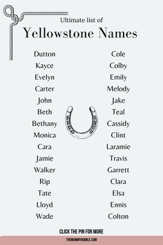 the ultimate list of yellow stone names for your horse or pony, including their names