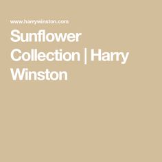 the sunflower collection by harry winton