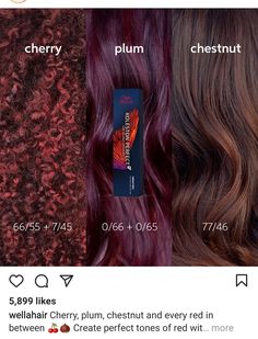 Dyed Hair Korean, Wella Hair Dye, Eggplant Colored Hair, Plum Brown Hair, Plum Red Hair, Eggplant Hair, Modern Hairstyles For Women, Wine Red Hair Color, Cherry Brown Hair