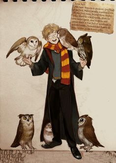 a drawing of harry potter holding owls and an owl