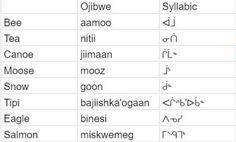 an image of different languages in the language