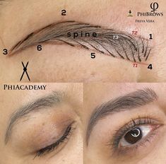 Cosmetic Tattoo Eyebrows, Eyebrow Extensions, Makeup For Older Women, Permanent Cosmetics