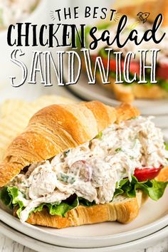 the best chicken salad and sandwhich sandwich on a white plate with chips