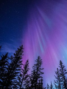 an aurora bore is seen in the sky above some trees