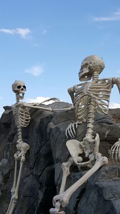 two skeletons are sitting on some rocks