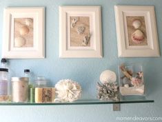 three framed pictures and seashells on a shelf