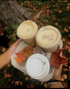 two cups of coffee sitting on top of a white tray next to leaves and a tree