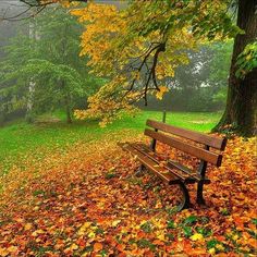 a wooden bench sitting in the middle of a park filled with leaves on it's ground