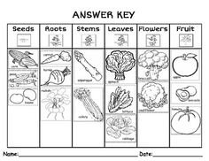 the worksheet is filled with pictures of fruits and vegetables to help kids learn how to