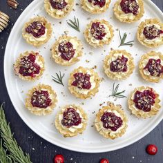 small appetizers with cranberry sauce and nuts on a white platter