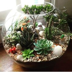 a glass bowl filled with plants and rocks