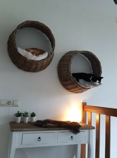 two cat beds hanging on the wall next to a white table with a lamp and potted plants