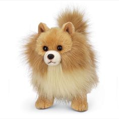 Bearington Rudy The Pomeranian Plush, 13 Inch Pomeranian Stuffed Animal Pomeranian Stuffed Animal, Pomeranian Plush, Cute Pomeranian, Sparkling Eyes, Pomeranian Dog, Pomeranian Puppy, Pet Holiday, Pet Puppy