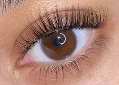 Für unglaublich lange Wimpern. Ich schwöre auf dieses Serum. 🤍 Long Eyelashes Naturally, Long Lashes Natural, Longer Eyelashes Naturally, Widget Board, Long Eyelashes, Longer Eyelashes, Long Lashes