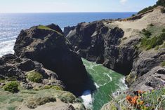 the water is green and flowing between two large rocks in the ocean with wildflowers on either side