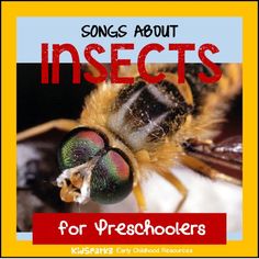 an insect with the words insects for preschoolers on it's front and back cover