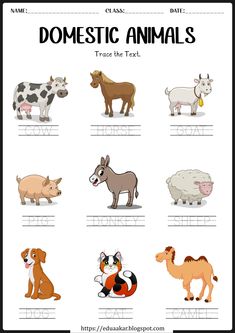 an animal worksheet with different animals and their names