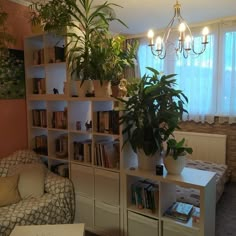 a living room filled with furniture and lots of plants on top of bookshelves