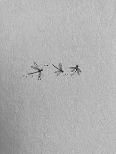 two dragonflies flying in the sky above each other