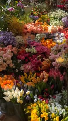 an assortment of colorful flowers are arranged in rows and on display at a flower shop