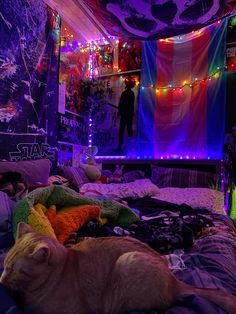 an orange cat laying on top of a bed in a room filled with colorful lights