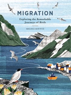 a book cover with birds flying over the water and boats on the shore in front of mountains