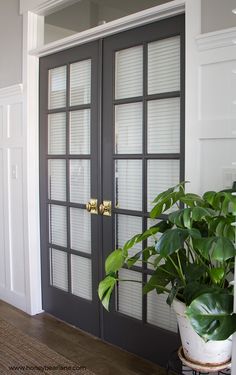 a potted plant sitting on top of a wooden table next to a door with glass panels