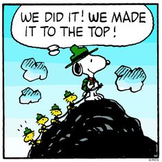 a cartoon strip with a man on top of a mountain and the words we did it we made it to the top