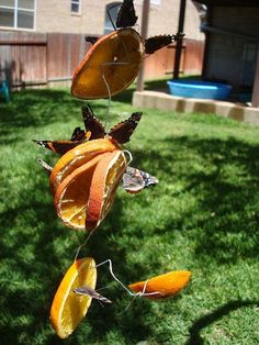 a wind chime with oranges and butterflies hanging from it's sides in the grass