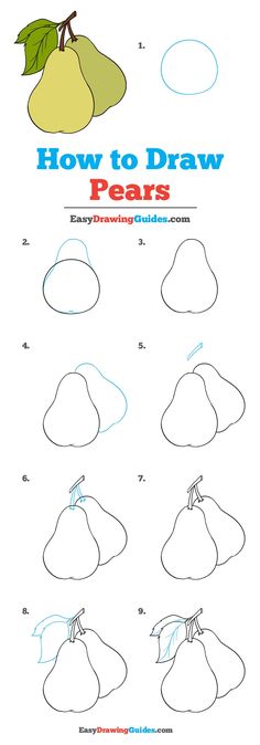 how to draw pears for kids