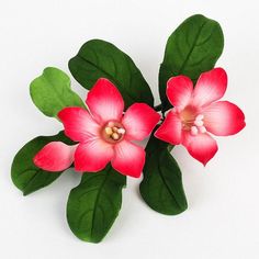 three pink flowers with green leaves on a white background