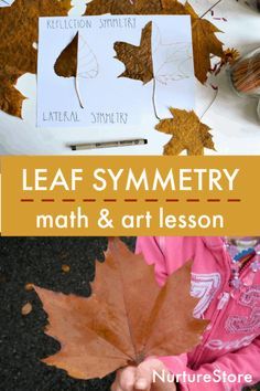 leaf symmetry math and art lesson for kids with leaves on the ground, in front of them