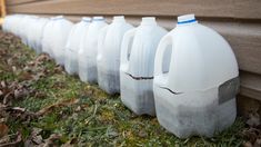 six gallon jugs lined up on the side of a house