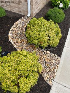 some bushes and rocks in front of a brick building