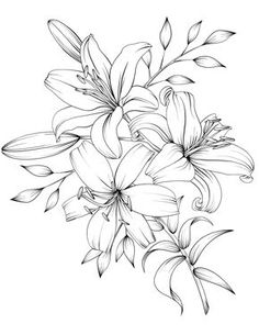 black and white drawing of lilies on a white background with text overlaying the image