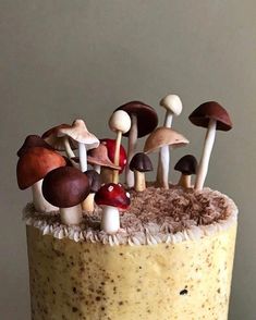 there is a cake with many mushrooms on it