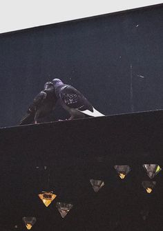 two birds sitting on top of a black box next to diamond shaped lights in the dark