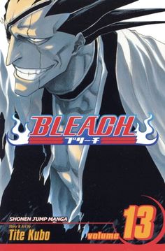 the cover to bleach volume 13